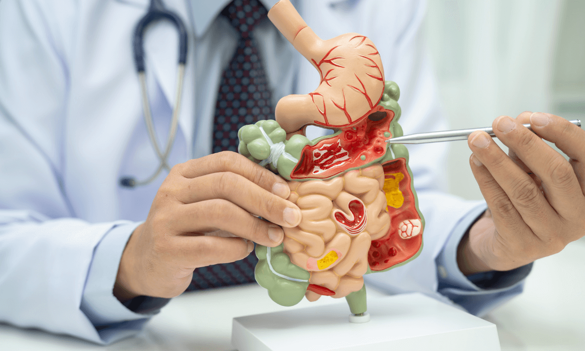 Digestive Health